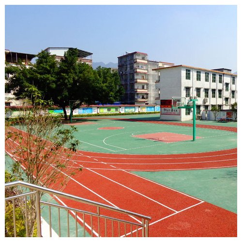 津南雷公坑小学复合型塑胶跑道